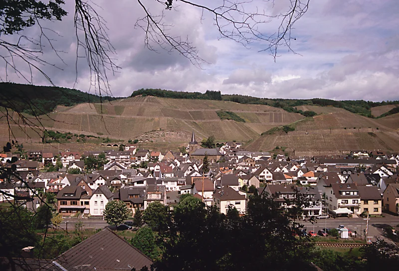Photo of Dernau