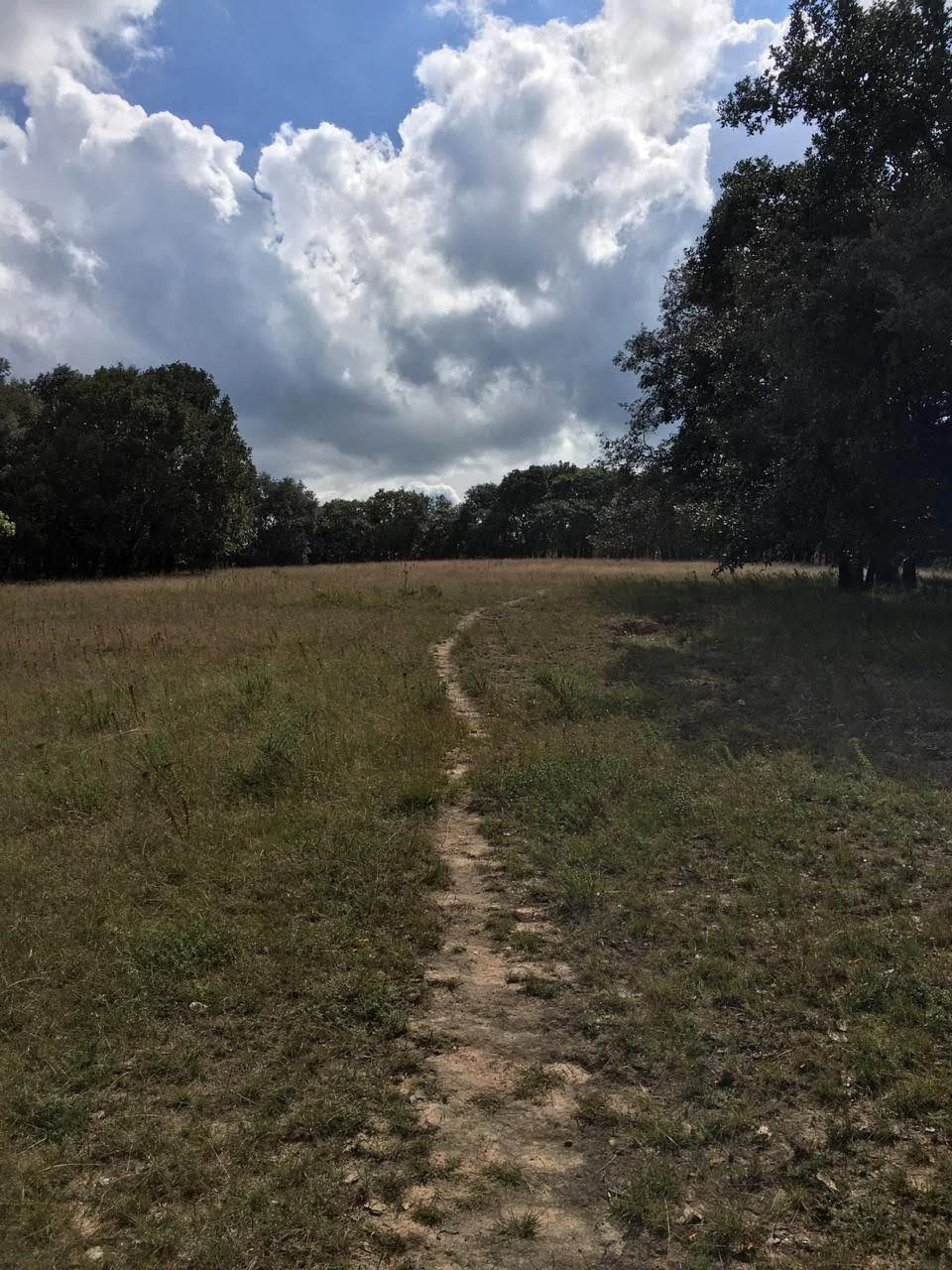 Photo of Derramaderos