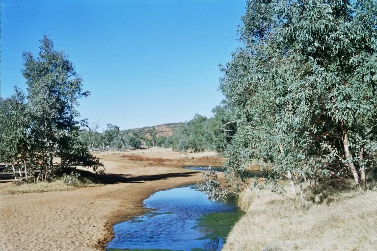 Photo of Desert Springs