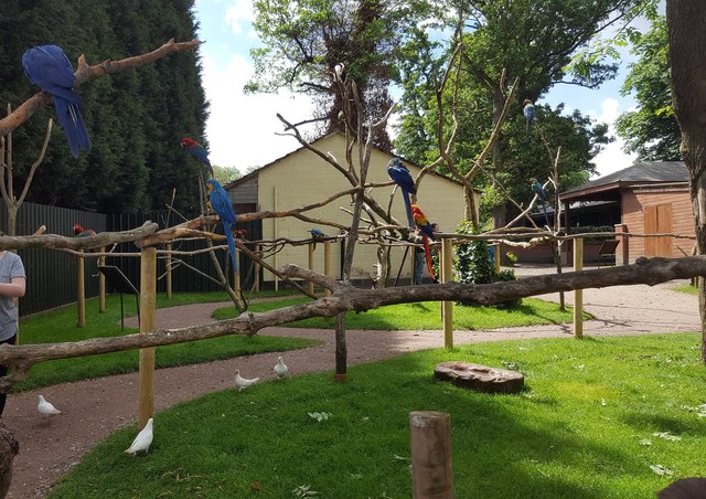 Tropical Birdland, Desford