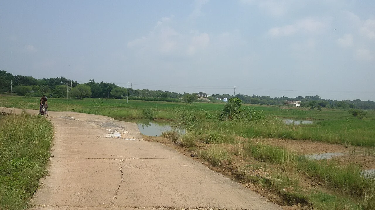 Photo of Dhamanagar