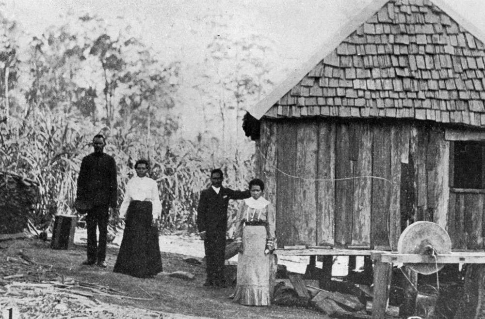 Photo of Diddillibah