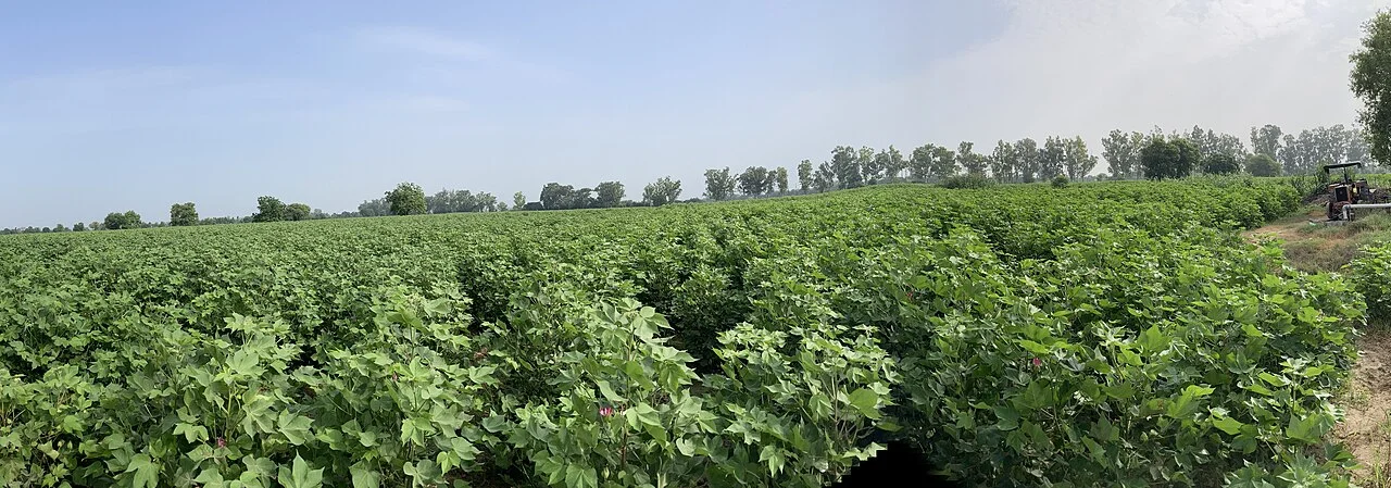 Photo of Dīnānagar