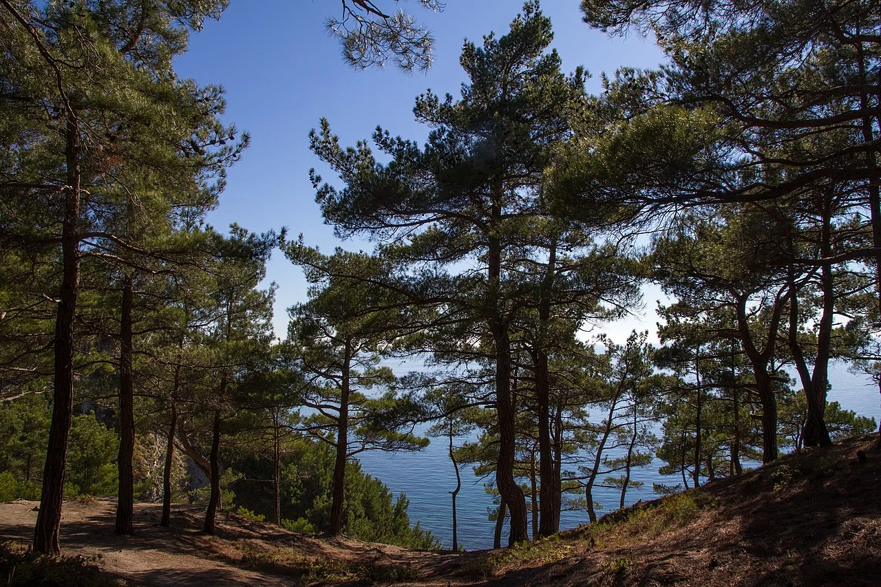 Photo of Divnomorskoye