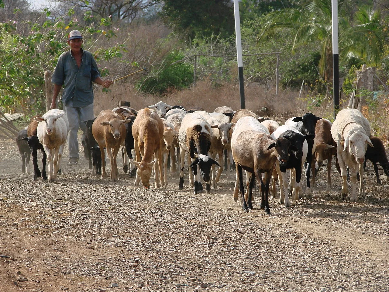 Photo of Doctor Juan Manuel Frutos