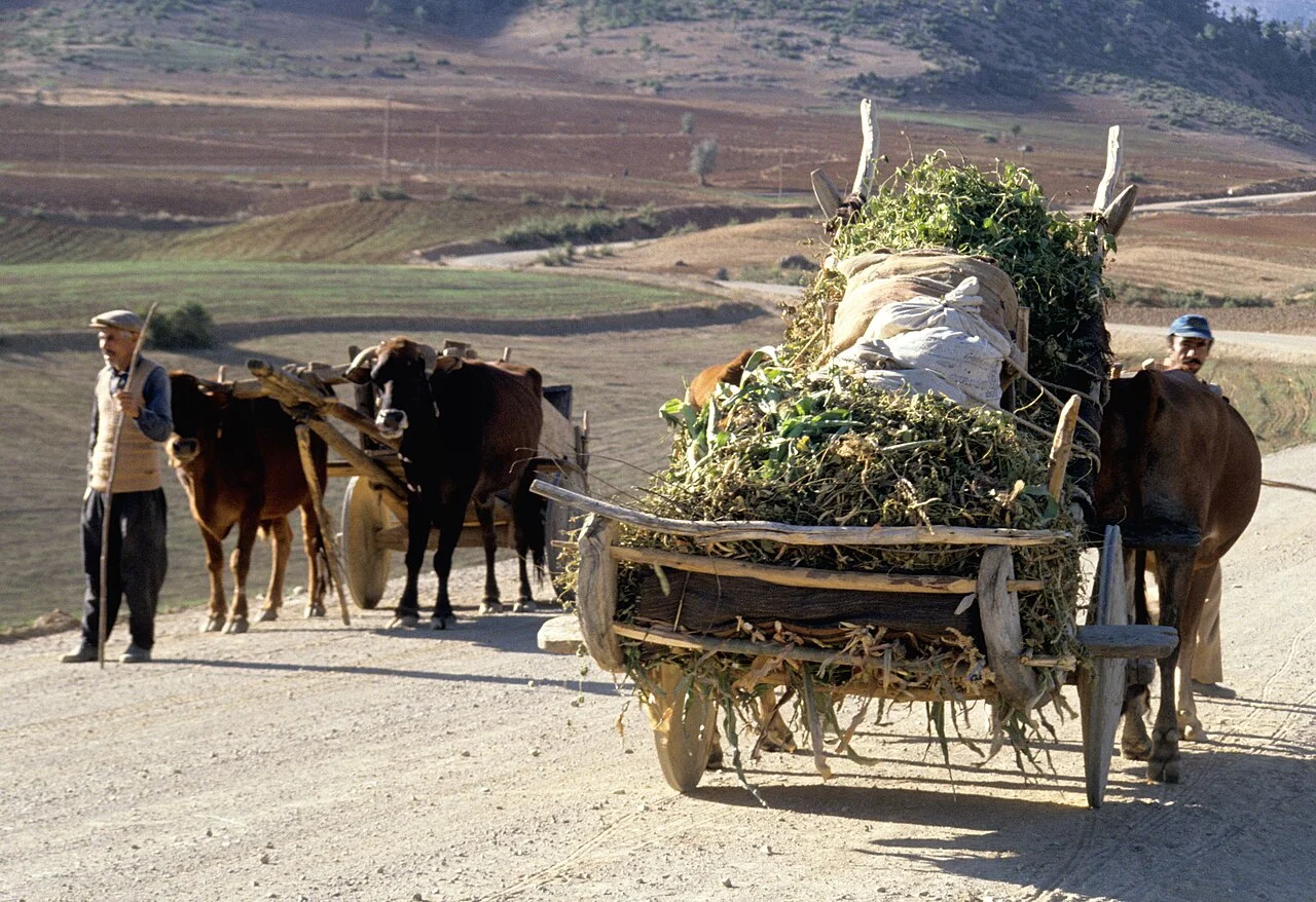 Photo of Doğanbeyli