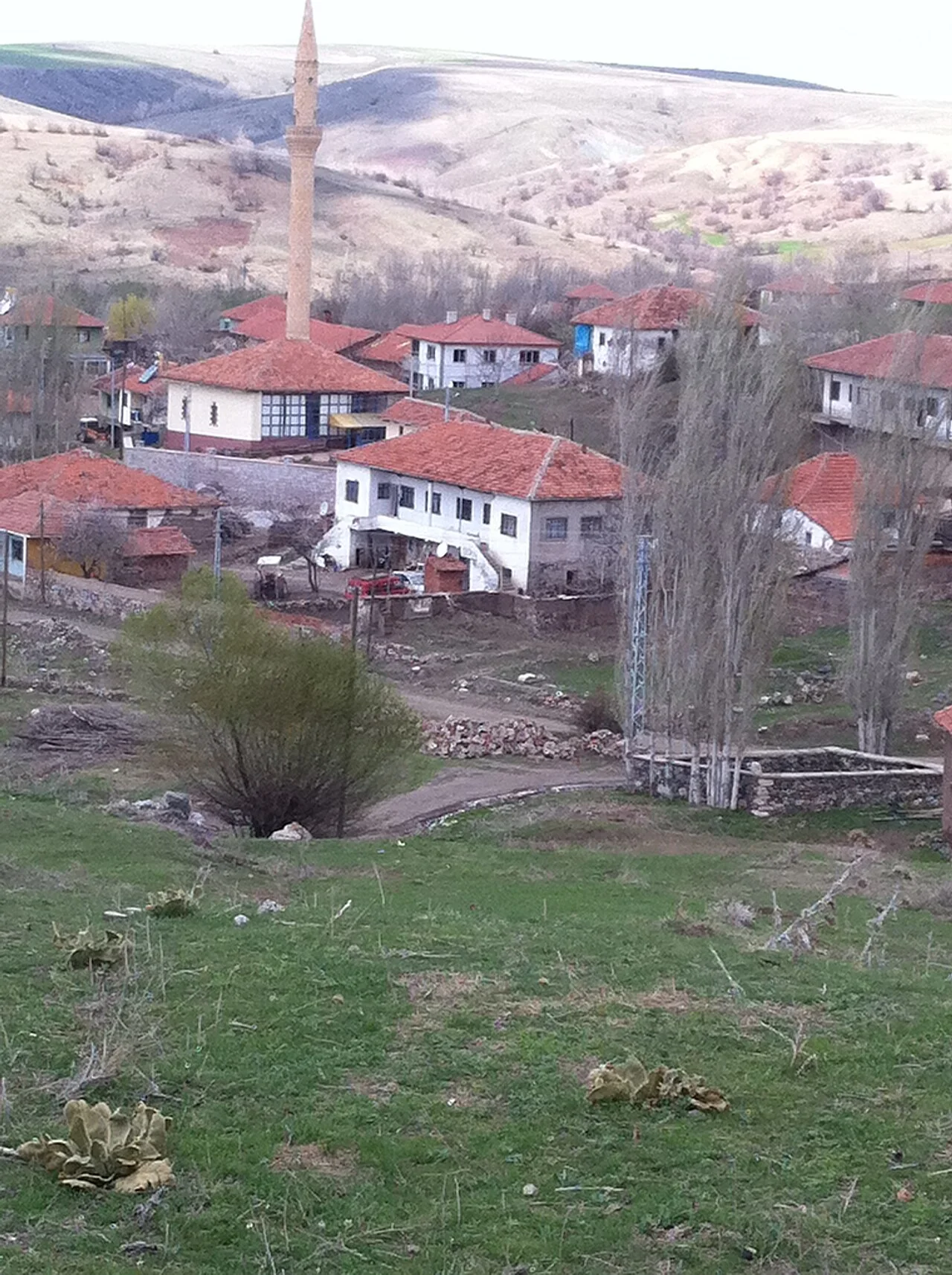 Photo of Doğanlı