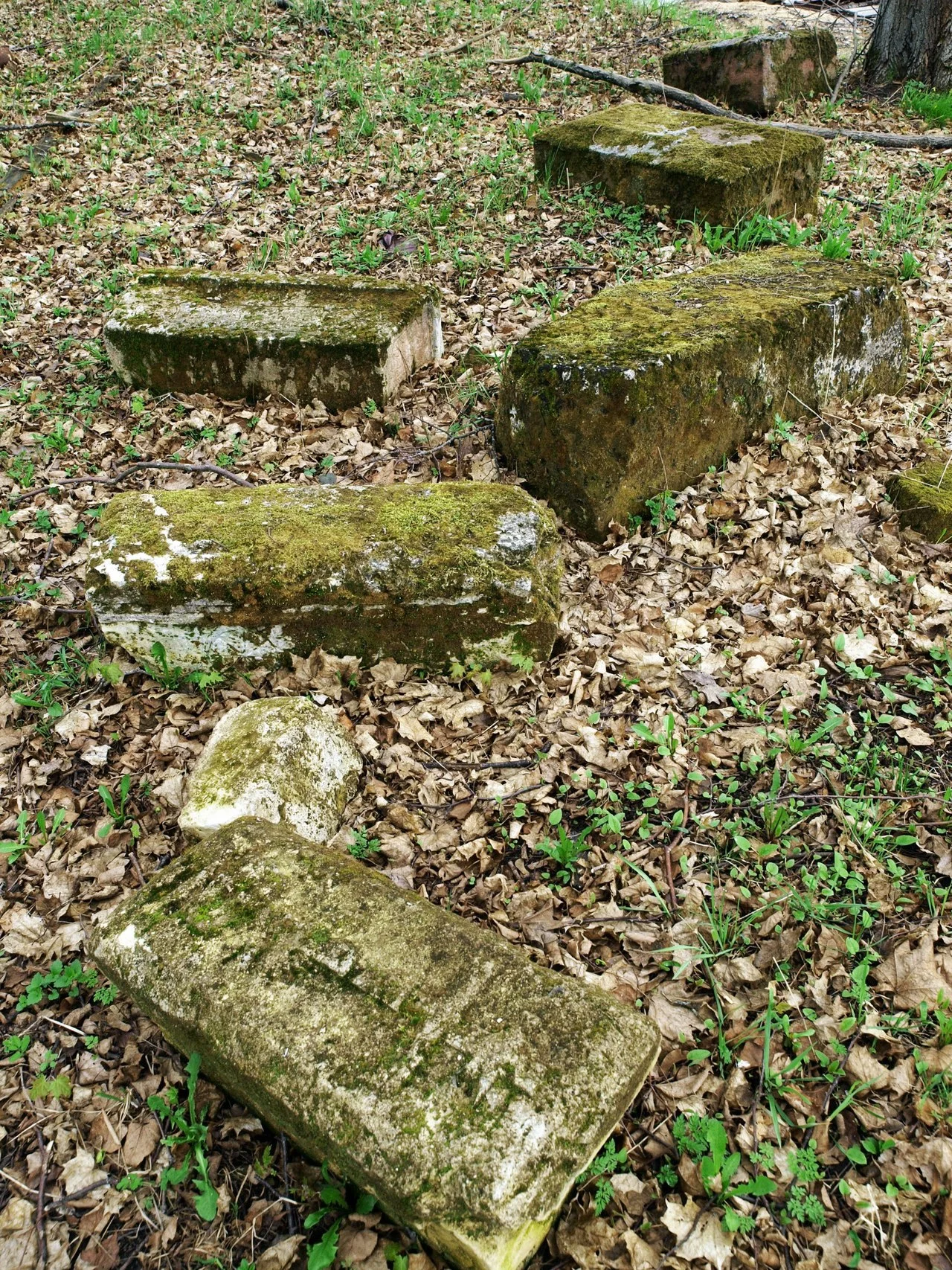 Photo of Dolgorukovo