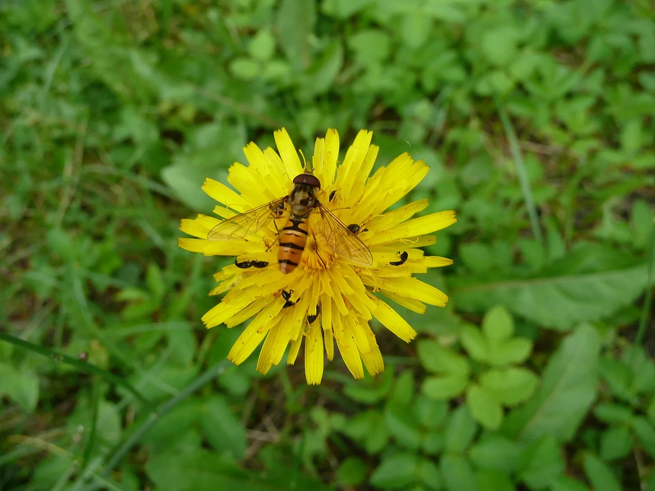 Photo of Domaszowice