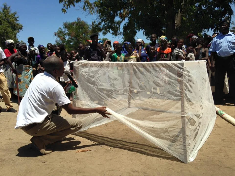 Photo of Dombe Grande