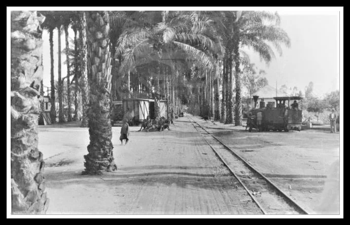 Photo of Dombe Grande