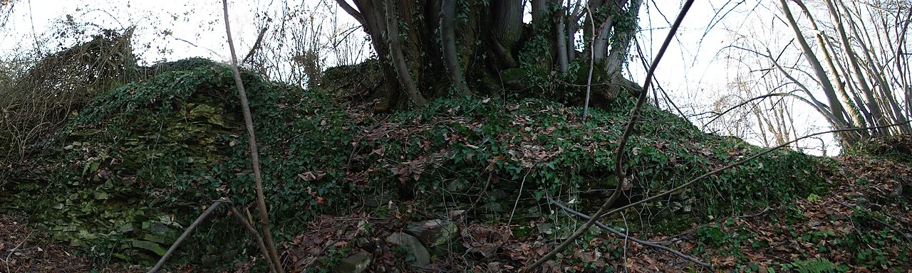 Photo of Donji Dobrić