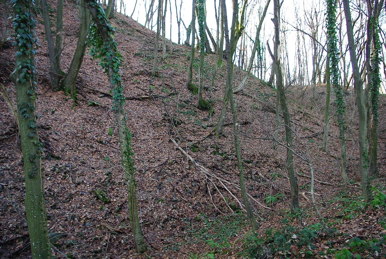 Photo of Donji Dobrić