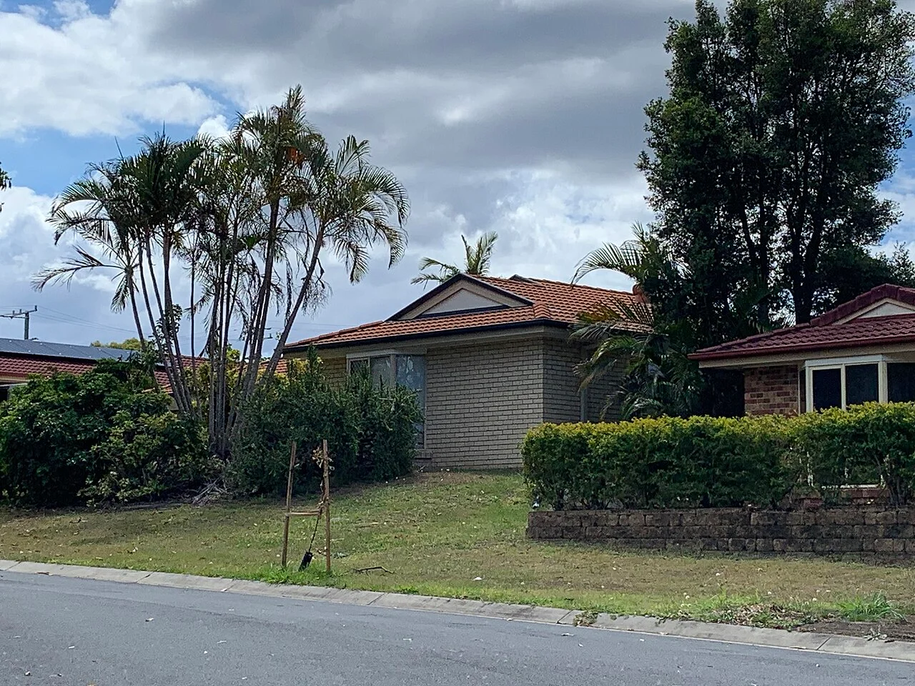 Photo of Doolandella