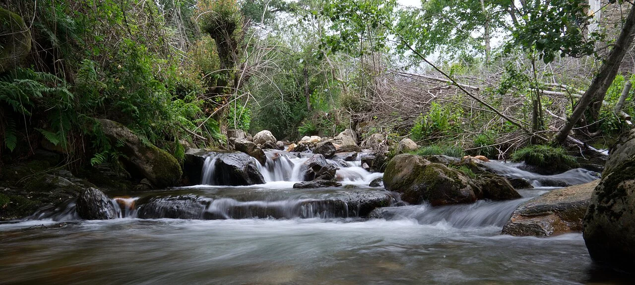 Photo of Dos Arroyos