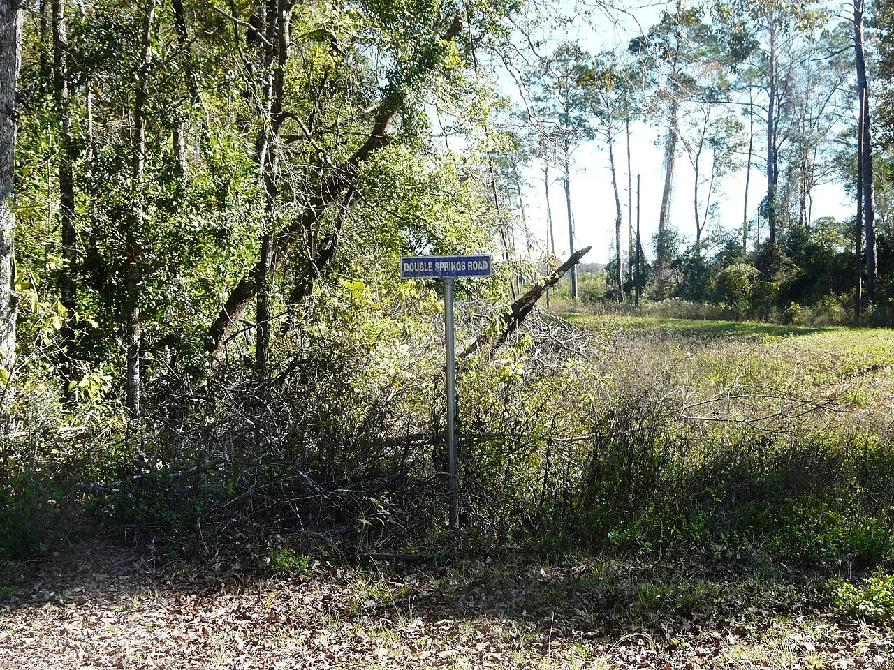 Photo of Double Springs