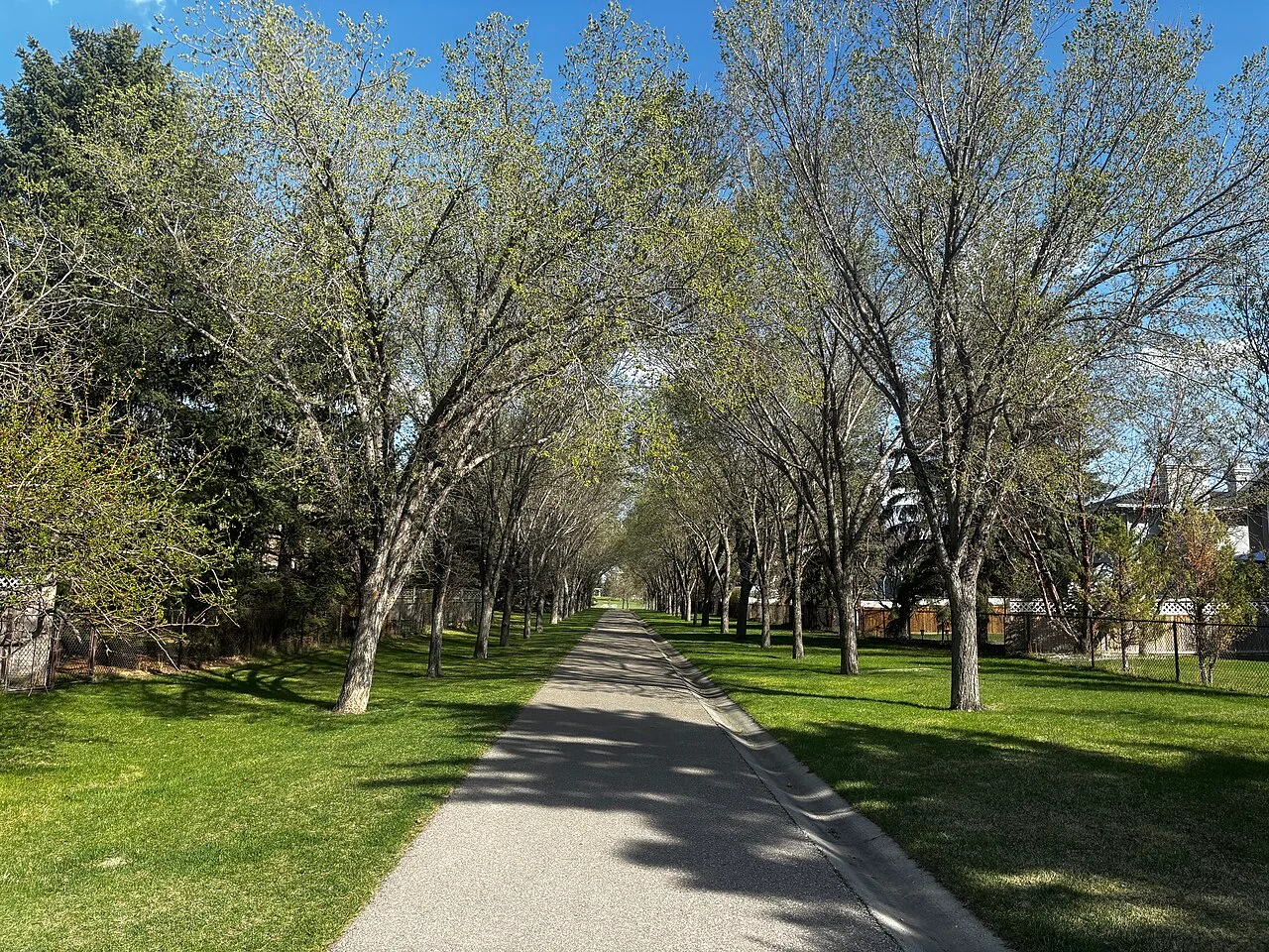 Photo of Douglasdale