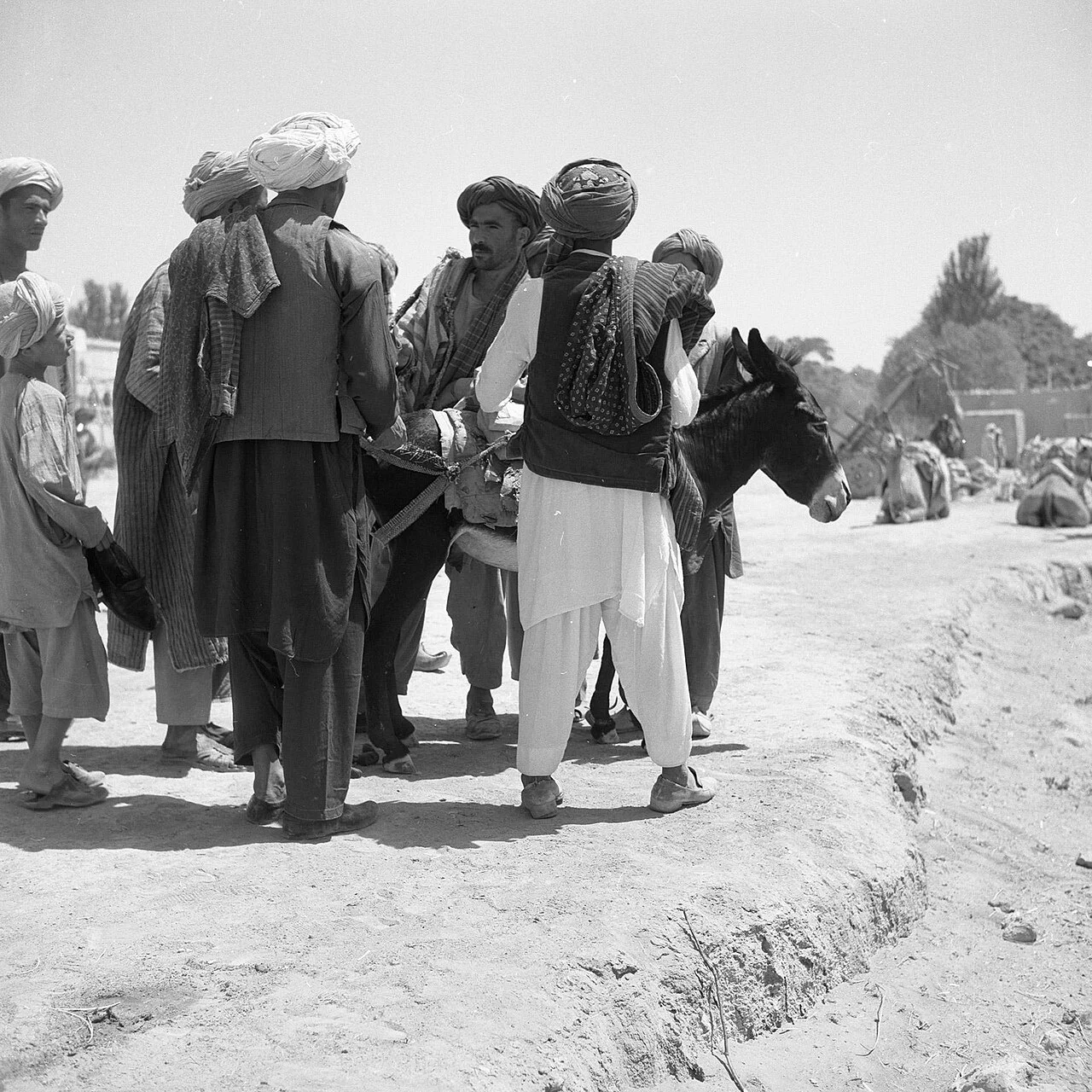 Photo of Dowlatābād