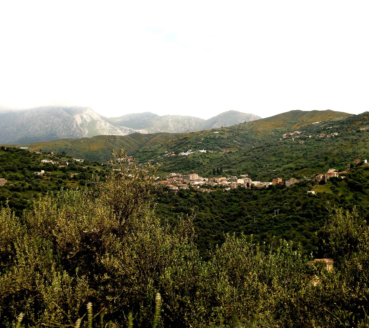 Photo of Draa el Mizan