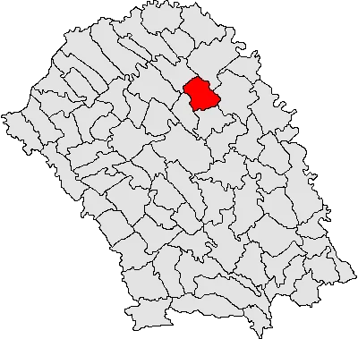 Photo of Drăguşeni