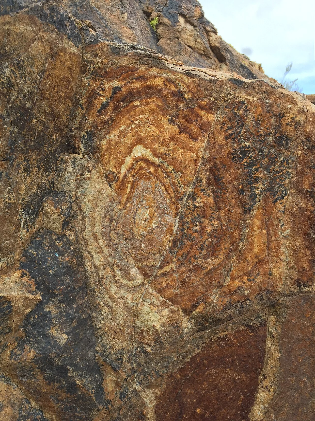 Photo of Drexel Heights