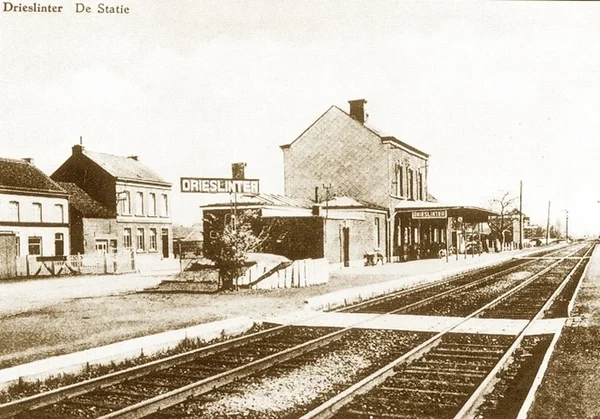 Photo of Drieslinter