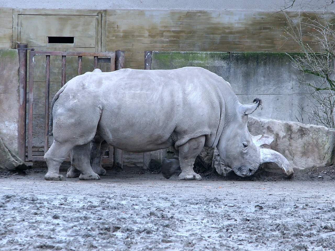 Photo of Dvůr Králové nad Labem