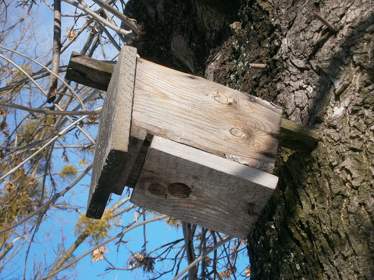 Photo of Dziekanów Leśny