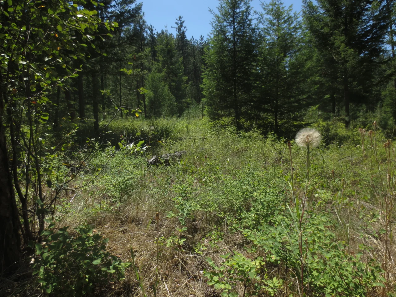 Photo of Eagle Ridge