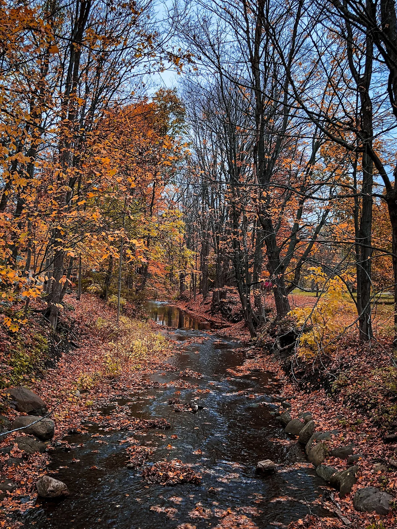 Photo of East Aurora