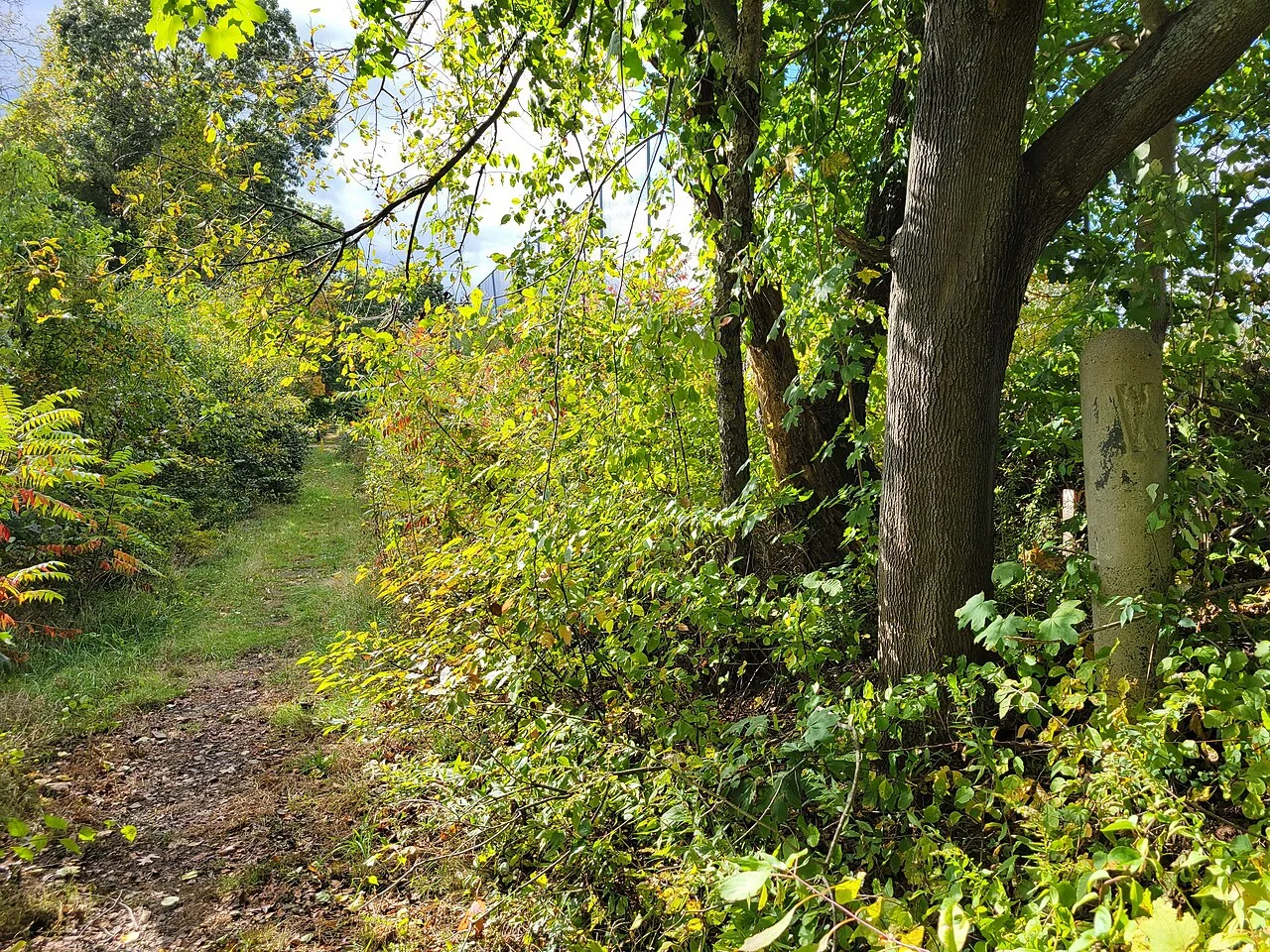 Photo of East Brookfield