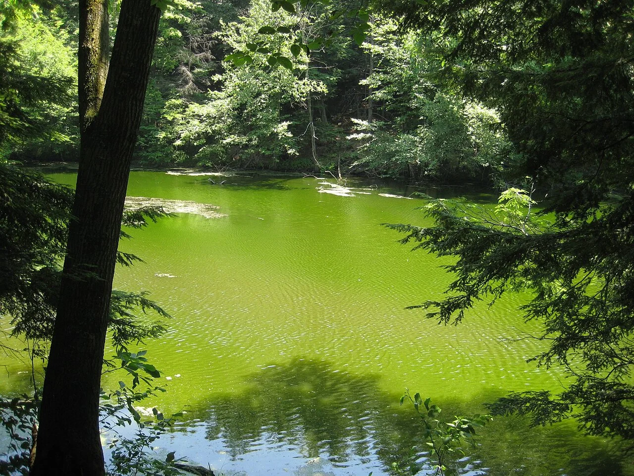 Photo of East Greenbush