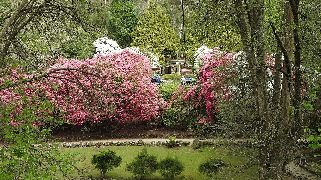 Photo of East Launceston