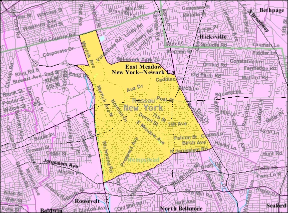 Photo of East Meadow