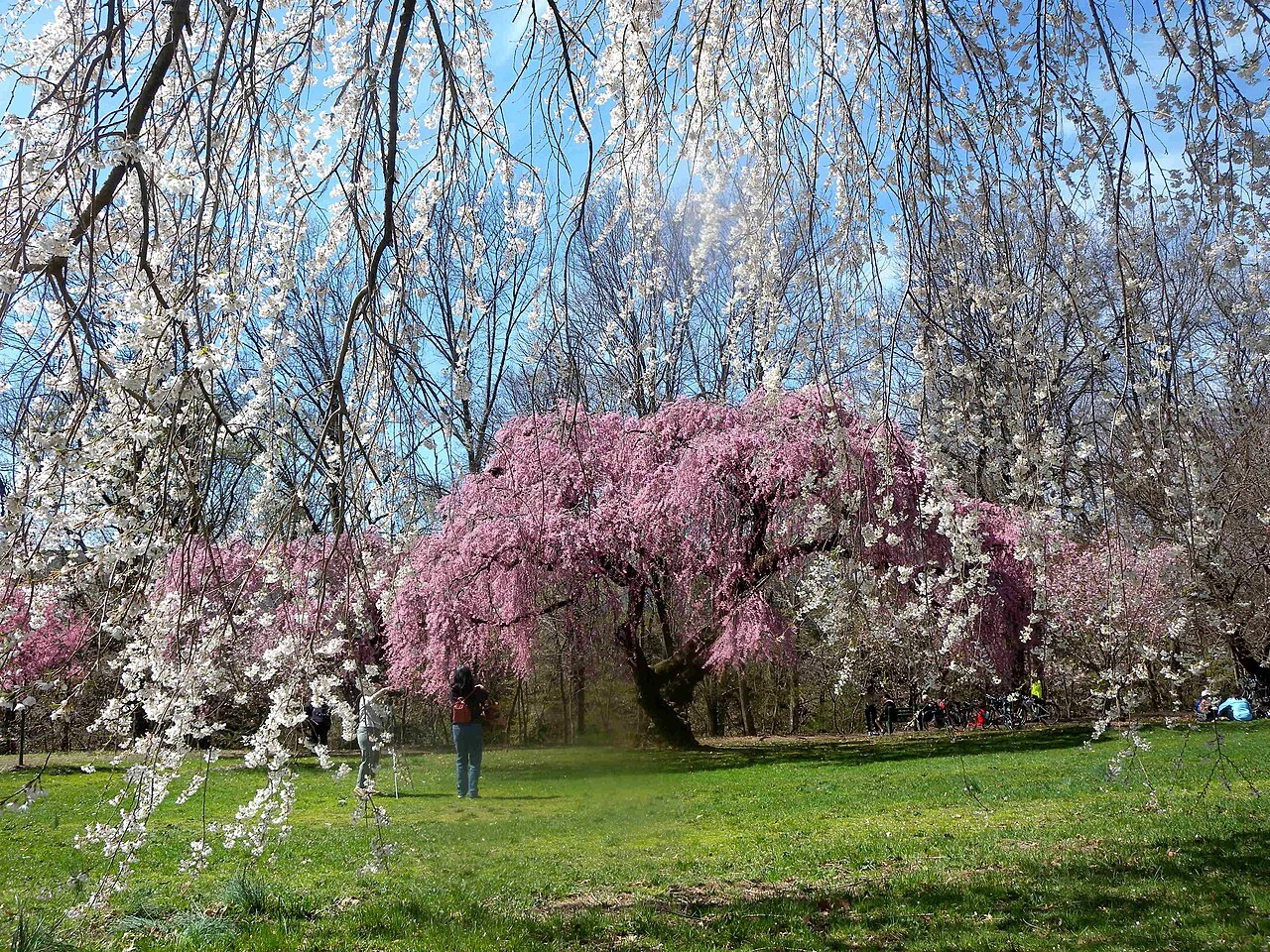 Photo of East Newark
