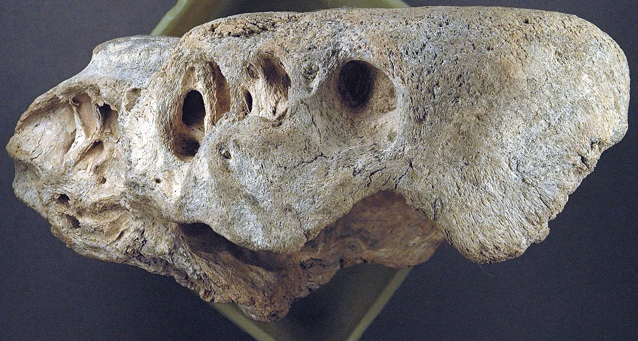 Photo of East Newton North