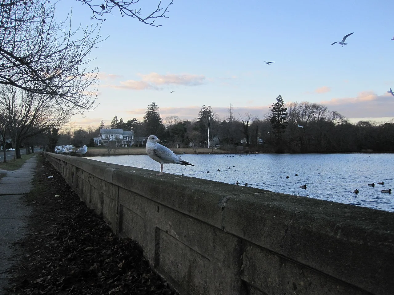 Photo of East Patchogue