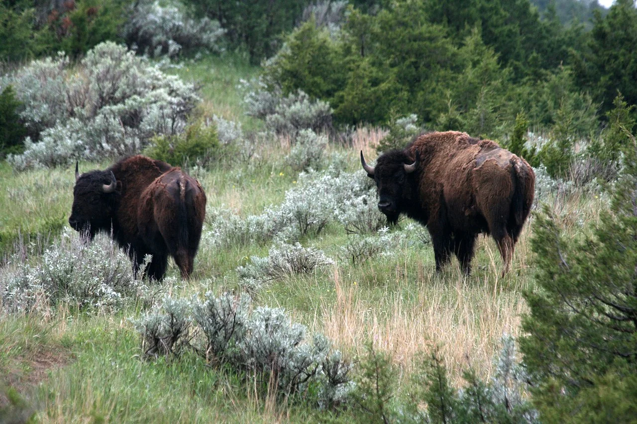 Photo of East Prairie