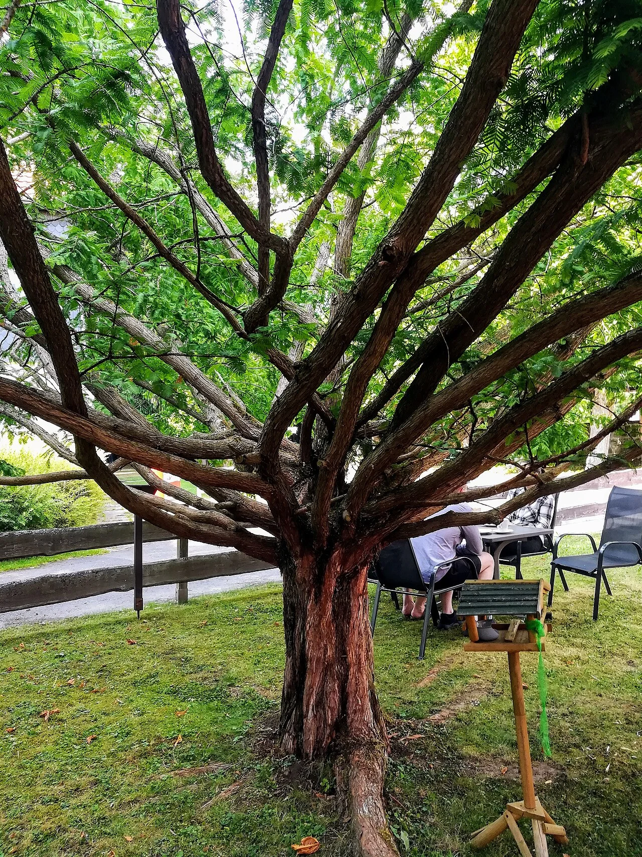 Photo of Ebergötzen