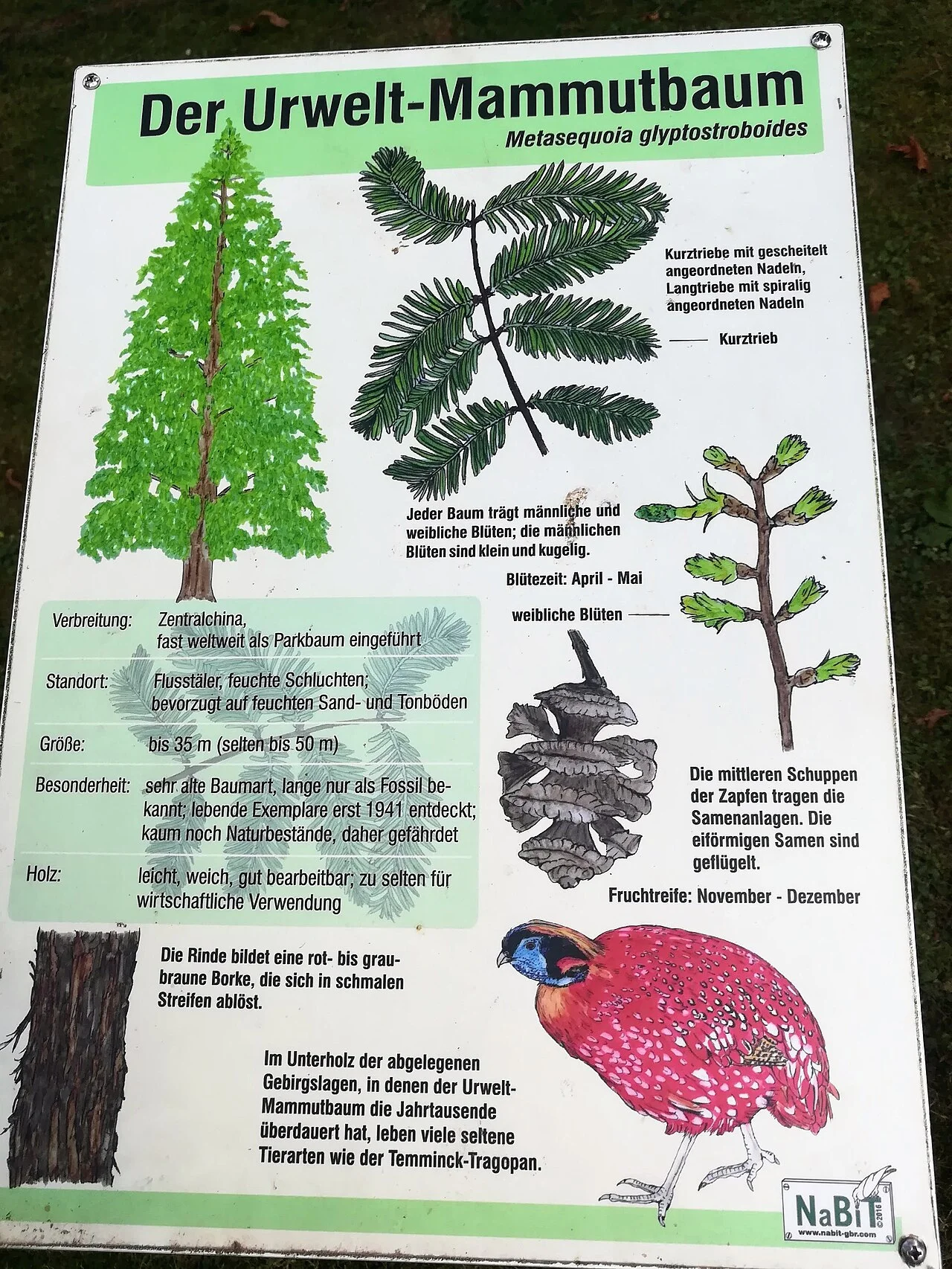 Photo of Ebergötzen