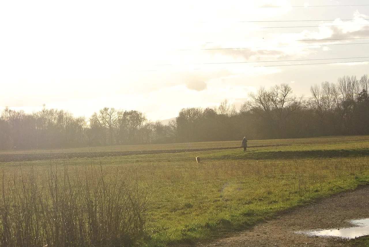 Photo of Eckbolsheim