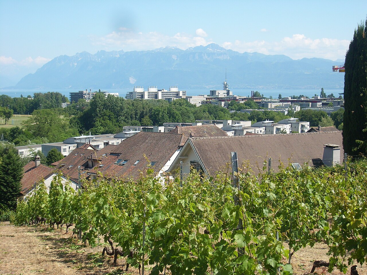 Taken at Latitude/Longitude:46.527122/6.563382. 0.22 km South Ecublens Vaud Switzerland