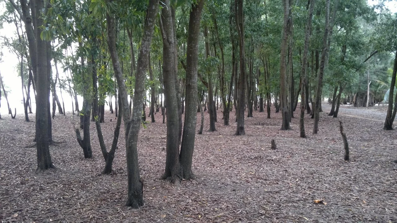 Photo of Edakkazhiyūr