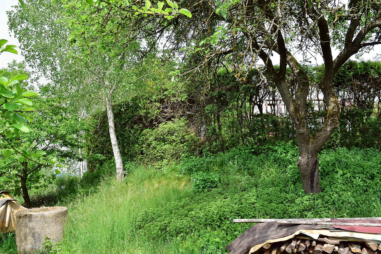 Photo of Edelsbach bei Feldbach