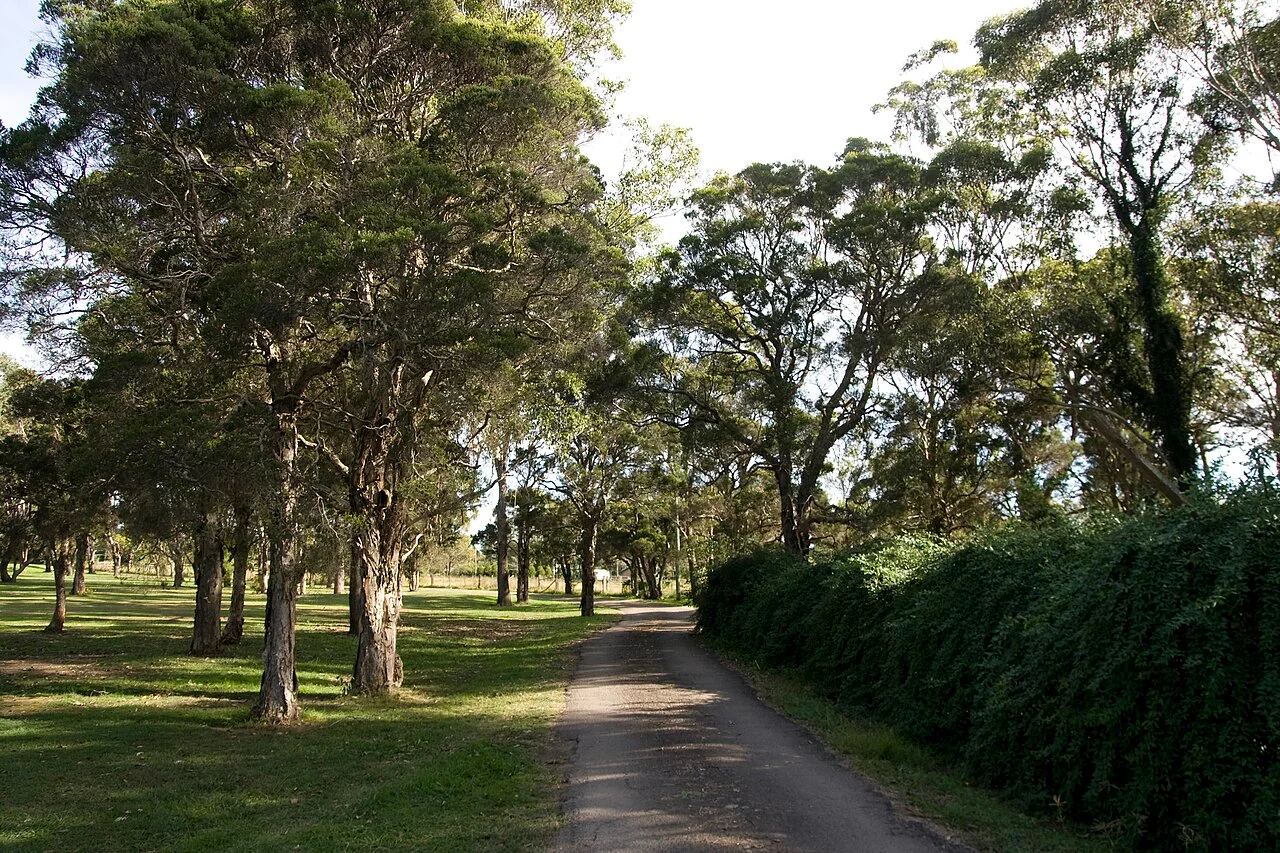 Photo of Edmondson Park