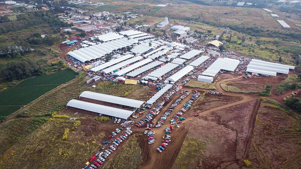 Photo of Ejido de San Mateo Coapexco