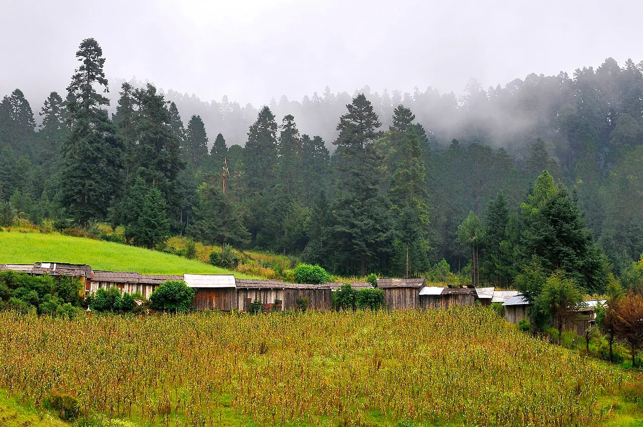 Photo of Ejido el Rosario