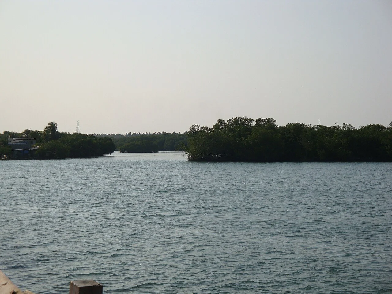 Photo of El Bellote (Miguel de la Madrid)