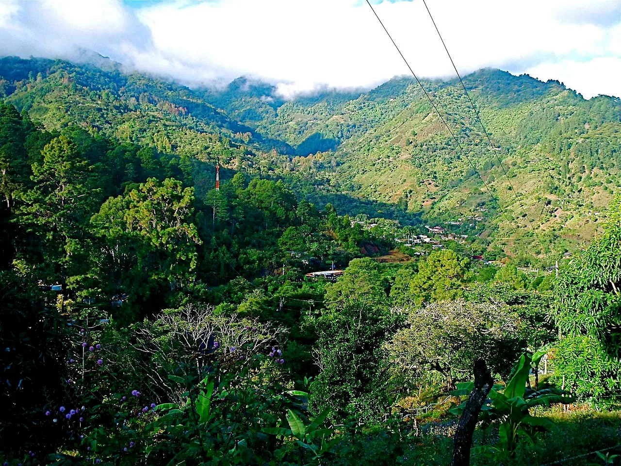 Photo of El Botadero