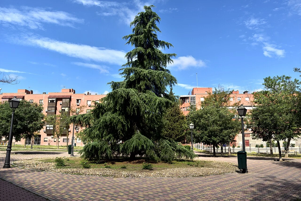 Photo of El Espinillo